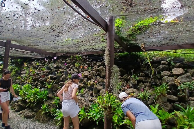 Garden of Sleeping Giant Tour with Tifajek Mud Pool and Hotspring - Key points to know before booking