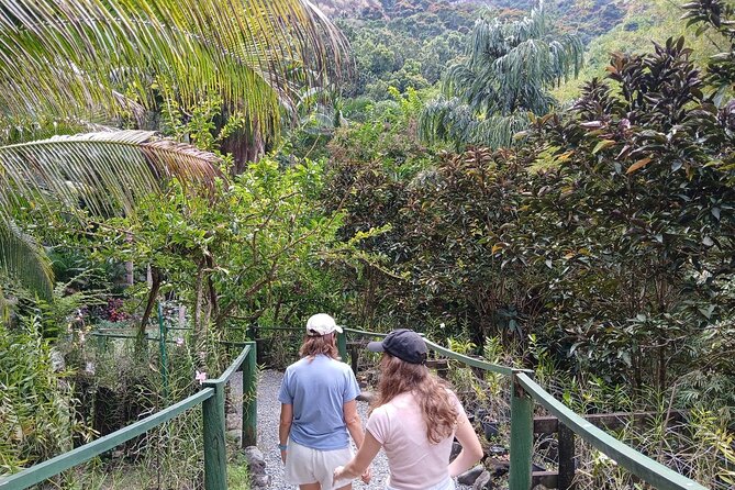 Garden of Sleeping Giant Tour with Tifajek Mud Pool and Hotspring - What the driver-guide adds