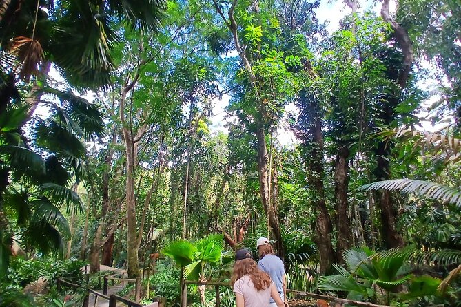 Garden of Sleeping Giant Tour with Tifajek Mud Pool and Hotspring - Who will enjoy this outing most?