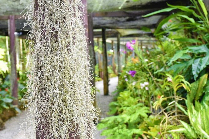 Garden of Sleeping Giant Tour with Tifajek Mud Pool and Hotspring - Practical details that make the day easier