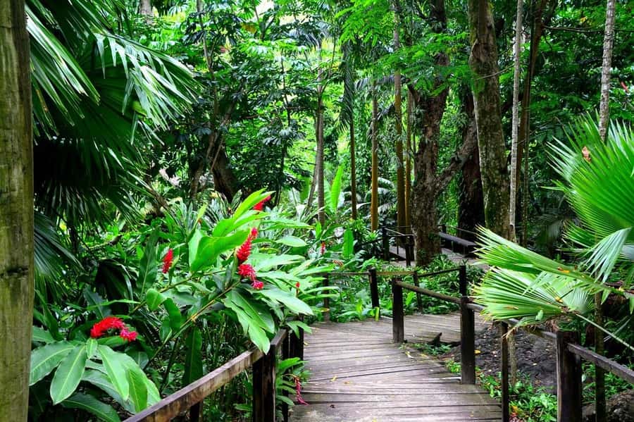 Garden of Sleeping Giant with Sabeto Hotspring Mudpool Tour - What the $47 price really covers