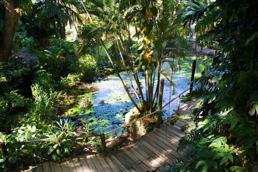 Garden of Sleeping Giant with Tifajek Mudpool Hotspring Tour - The optional massage and the waiting problem