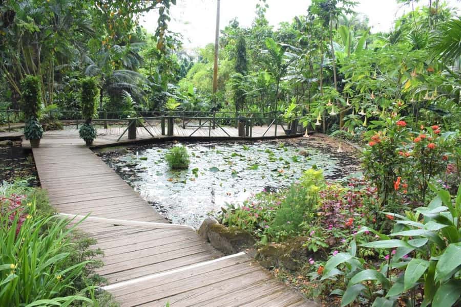 Garden of Sleeping Giant with Tifajek Mudpool Hotspring Tour - Hotel pickup is useful, but not always quick