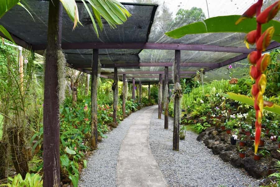 Garden of Sleeping Giant with Tifajek Mudpool Hotspring Tour - Is $65 good value?