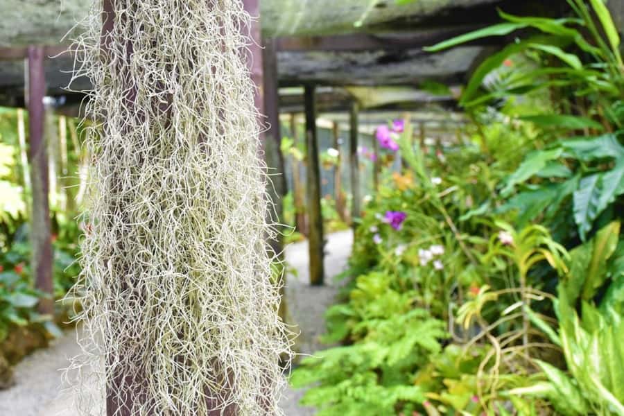 Garden of Sleeping Giant with Tifajek Mudpool Hotspring Tour - What to bring for a comfortable day