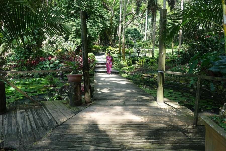 Garden of Sleeping Giant with Tifajek Mudpool Hotspring Tour - Who will enjoy this outing most