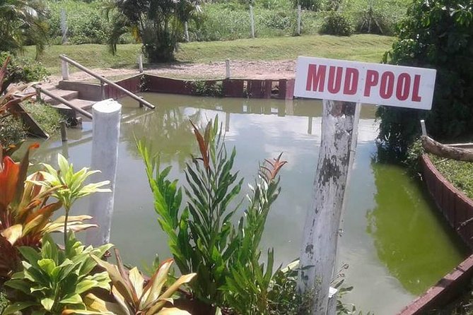 garden of the sleeping giant and mudpool tour combo - Two Fiji sights, one practical half-day