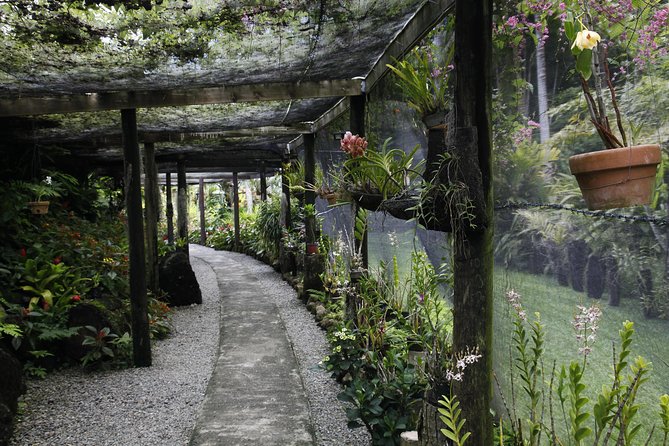 garden of the sleeping giant and mudpool tour combo - The Garden of the Sleeping Giant and its plant collection