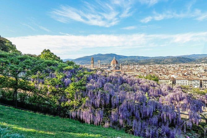 Gardens of Florence Walking Tour - From Piazza della Signoria to the Medici gardens
