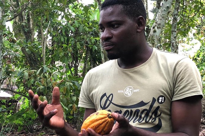 Ghana Eastern Explorer - Boti Falls, Aburi Gardens & Tetther Quarshie Cocoa Farm - Price and value at $190 per person