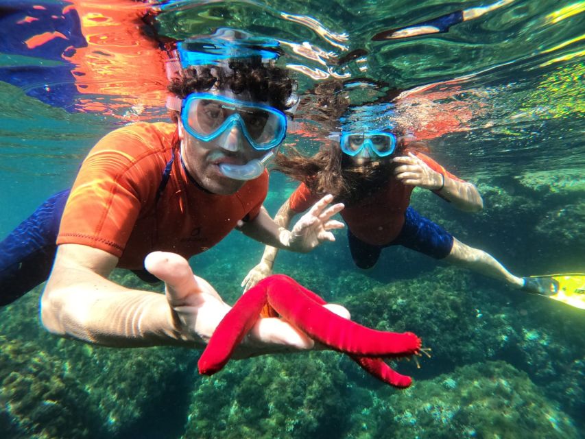 Giardini Naxos: Boat Trip Isola Bella with Snorkeling - What the $65 Price Really Covers