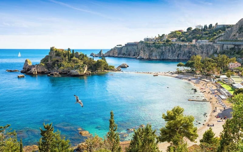 Giardini Naxos: Dolphin Catamaran Sunset Tour with Aperetif - Dolphins, hydrophone, and realistic expectations