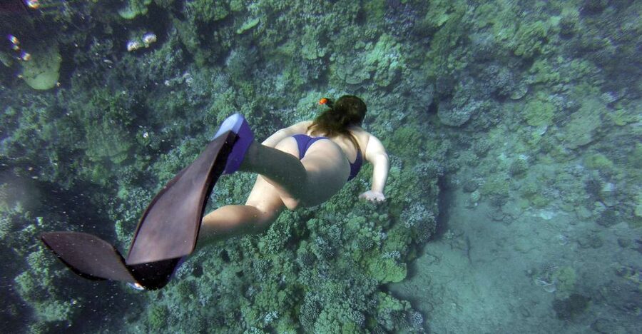 Giardini Naxos: Isola Bella Marine Park Snorkeling Cruise - Key points to know before booking