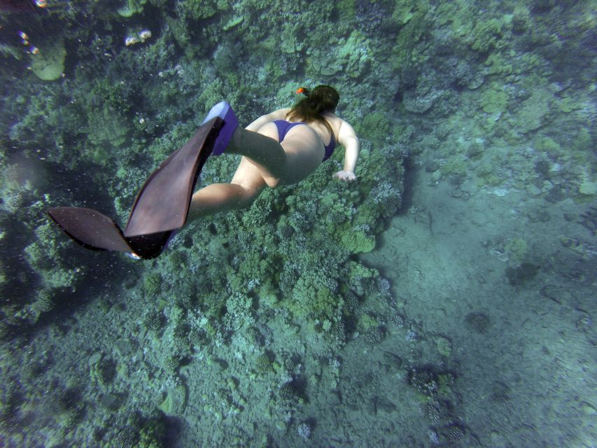 Giardini Naxos: Isola Bella Marine Park Snorkeling Cruise - Booking flexibility and basic planning