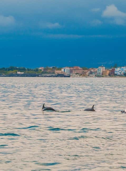 Giardini Naxos Taormina: Dolphin Watching Sunset Tour - Isola Bella, swimming, and the Sicilian snack stop