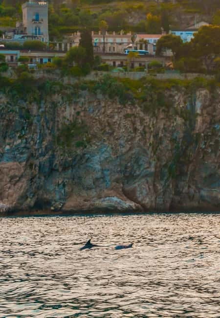 Giardini Naxos Taormina: Dolphin Watching Sunset Tour - Practical tips for a smoother evening