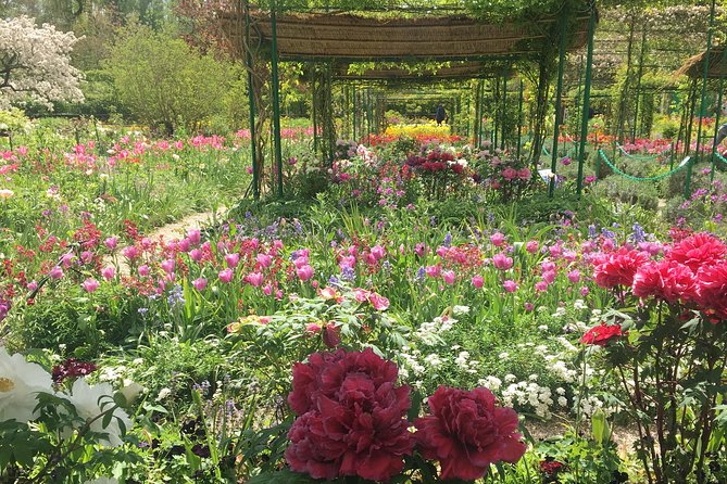 Giverny and Marmottan Monet Museum Private Day Trip from Paris - Why this Monet day trip works so well