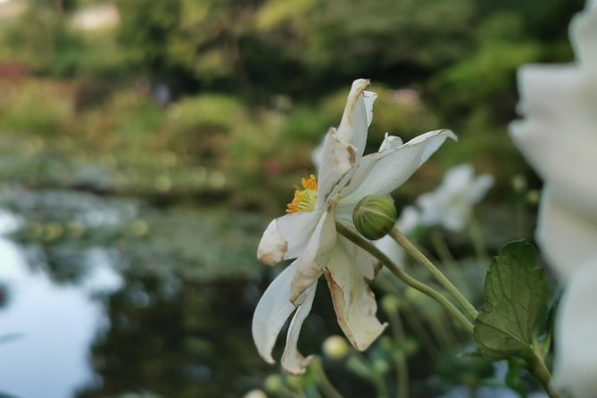 Giverny Auvers sur Oise private tour - The two Giverny gardens are worth noticing