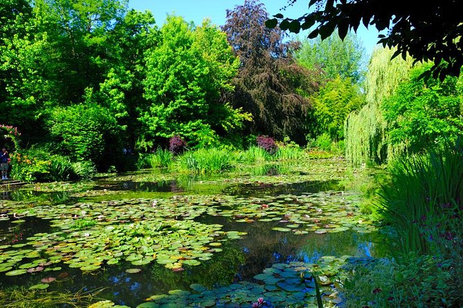 Giverny Auvers Van Gogh Private Guided Day Tour from Paris - What the private guide changes