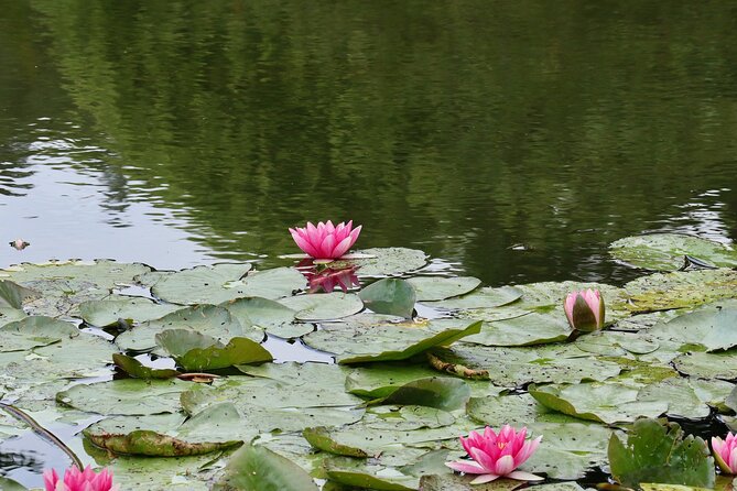 Giverny Half-Day Small-Group Tour from Paris – Max 7 Guests - What the $180.23 price gets you