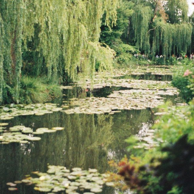 Giverny : Monet's house & Gardens Private tour from Paris - What the Private Guide Adds
