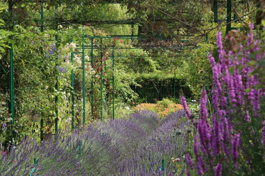 Giverny Private Guided Walking Tour - Reading light, color, and reflection