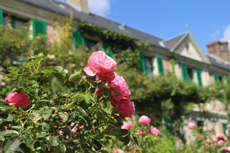 Giverny Private Guided Walking Tour - Meeting Monet at 84 Rue Claude Monet