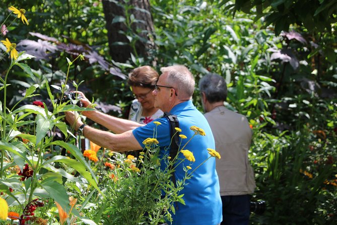 Giverny's House & Gardens plus Versailles Palace Day Trip with Lunch from Paris - Who should book this day trip?