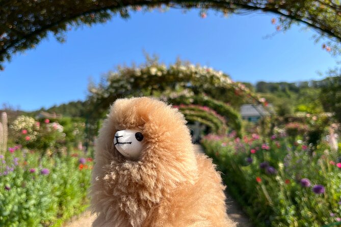 Giverny & Versailles Private Guided Tour with Ticket Entry - Leaving Paris in a private car
