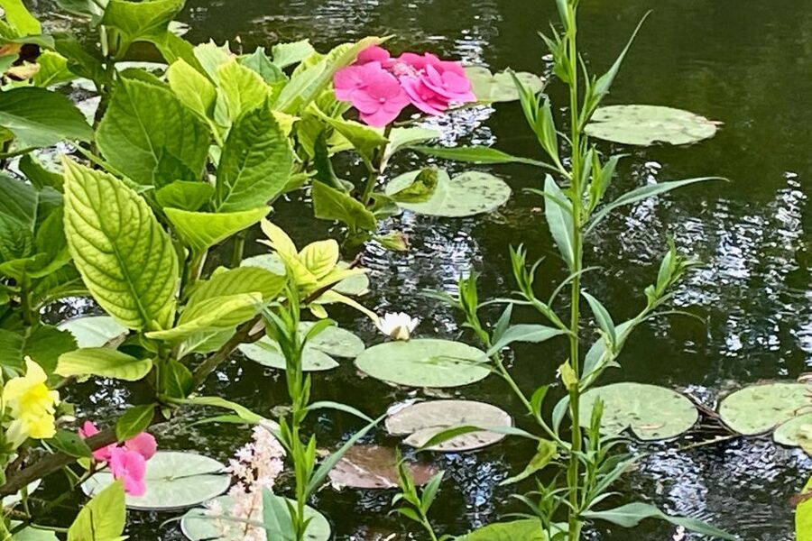 Giverny Versailles Trianon Small Group by Minivan from Paris - The gardens, Big Trianon, and Small Trianon