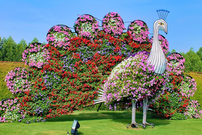 Global Village and Miracle Garden Tour With Private Transfers - A guide who helps without taking over