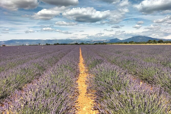 Gorges du Verdon : Lavenders, Canyon Boat Picnic & Villages - The route question you should settle before departure