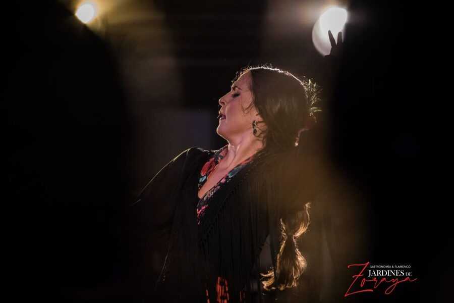 Granada: Flamenco Show in Albayzín - Jardines de Zoraya - Finding the tablao in Granada’s Albaycín
