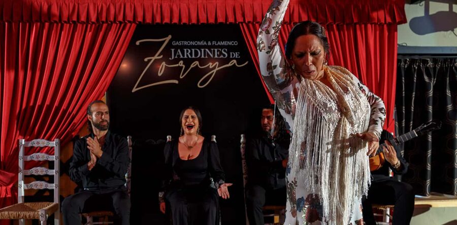 Granada: Flamenco Show in Albayzín - Jardines de Zoraya - Show only, or dinner in the garden?