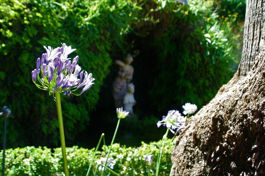 Granada: Gardens of Carmenes Guided Tour - Starting near the Hotel Washington Irving