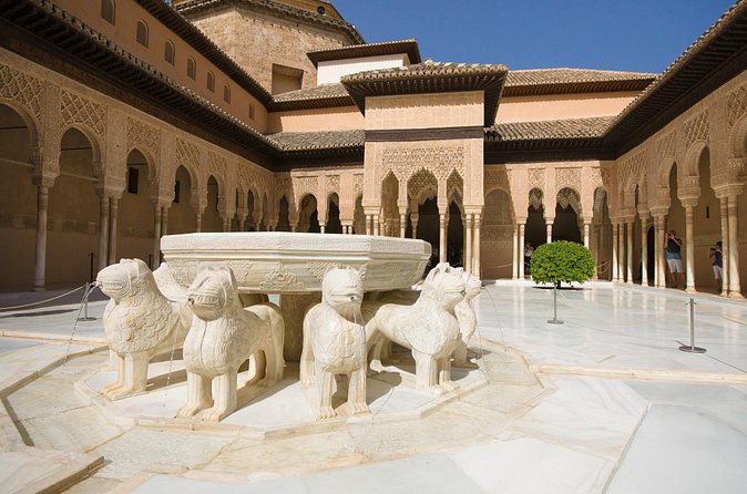 Granada Tour with Alhambra and Generalife Gardens from Seville - Small practical tips that make a difference