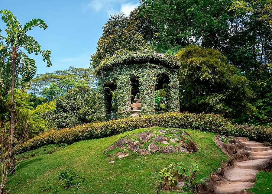 Green Rio: Guided Tour of Botanical Garden and Lage Park - What the five-hour schedule means for you