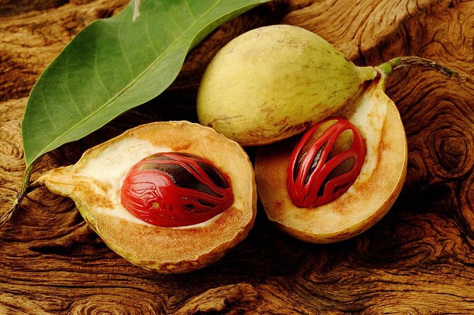 Grenada Spice Gardens, Rum & Chocolate Tour (Full/Half Day) - A tasty way to understand Grenada