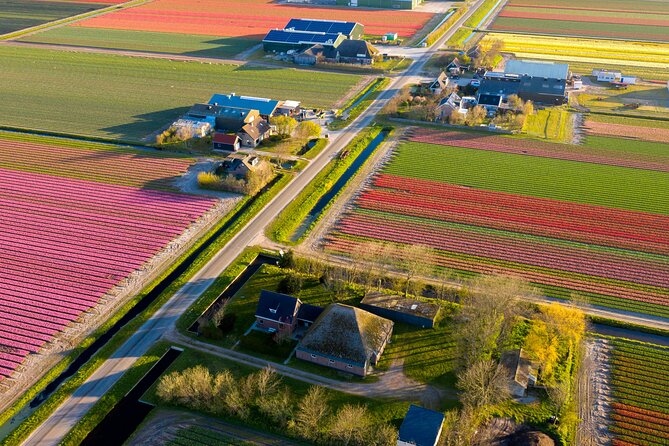 Guided Bike Tour along the Dutch Tulip Fields in Noord Holland - Key points to know before you book