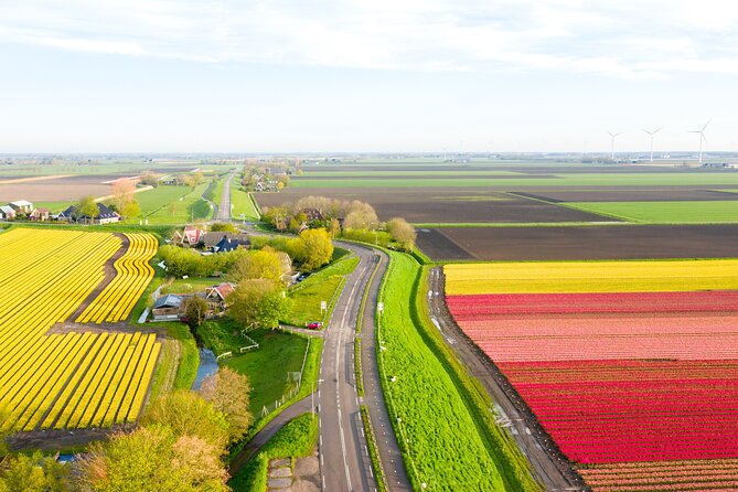 Guided Bike Tour along the Dutch Tulip Fields in Noord Holland - Why a bicycle is the right way to see North Holland tulips