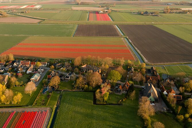 Guided Bike Tour along the Dutch Tulip Fields in Noord Holland - Cycling 25 to 30 kilometers through flower country