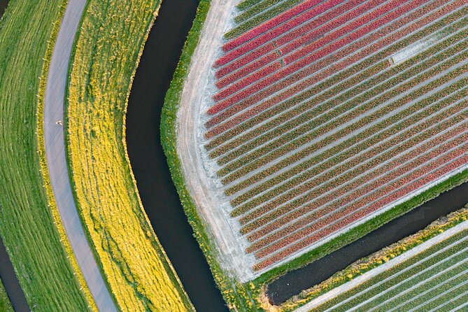 Guided Bike Tour along the Dutch Tulip Fields in Noord Holland - Is $119.21 a fair price?