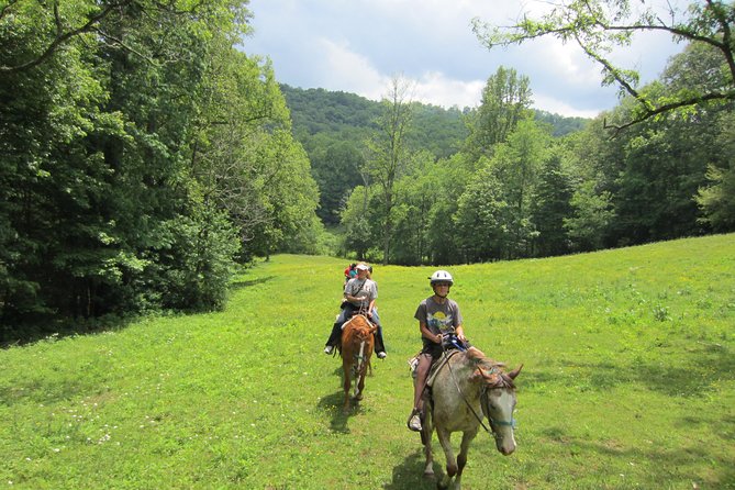 Guided Horseback Ride through Flame Azalea and Fern Forest - Starting at Arrowmont Stables in Cullowhee