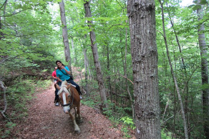 Guided Horseback Ride through Flame Azalea and Fern Forest - Safety training before the trail