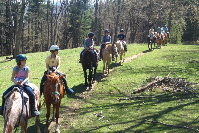 Guided Horseback Ride through Flame Azalea and Fern Forest - What guides add to the ride