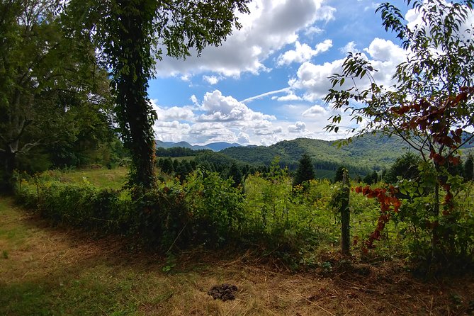 Guided Horseback Ride through Flame Azalea and Fern Forest - How strenuous is this horseback ride?