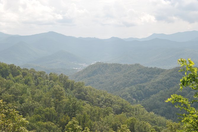 Guided Horseback Ride through Flame Azalea and Fern Forest - Weather, trail conditions, and timing