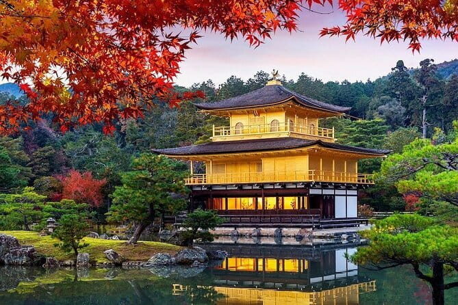 Guided Kyoto City Cherry Blossom One Day Private Tour - Six useful things to know before booking