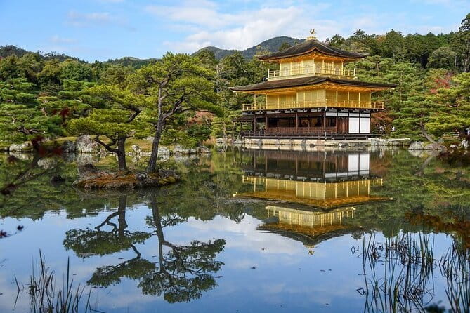 Guided Kyoto City Cherry Blossom One Day Private Tour - Arashiyama Bamboo Grove, Kyoto’s most photographed path