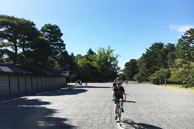 Guided Kyoto City Cherry Blossom One Day Private Tour - Fushimi Inari’s thousands of red torii